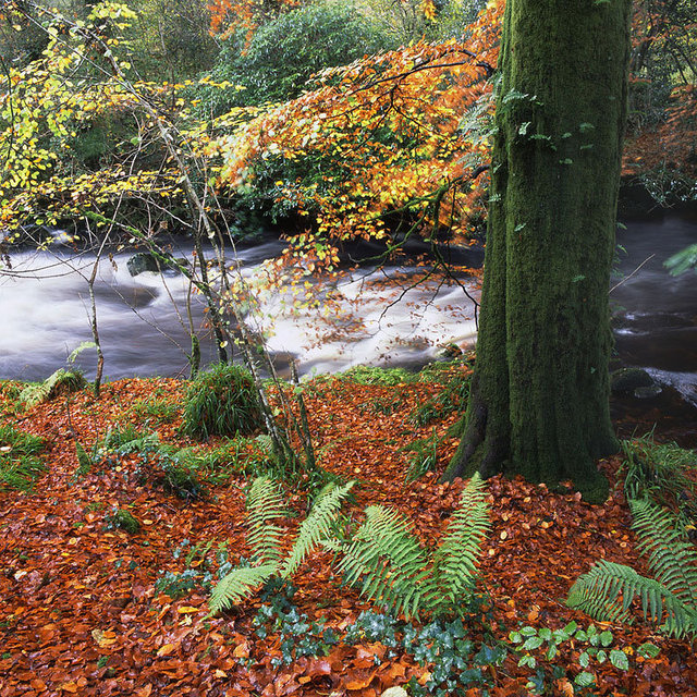 River Avon