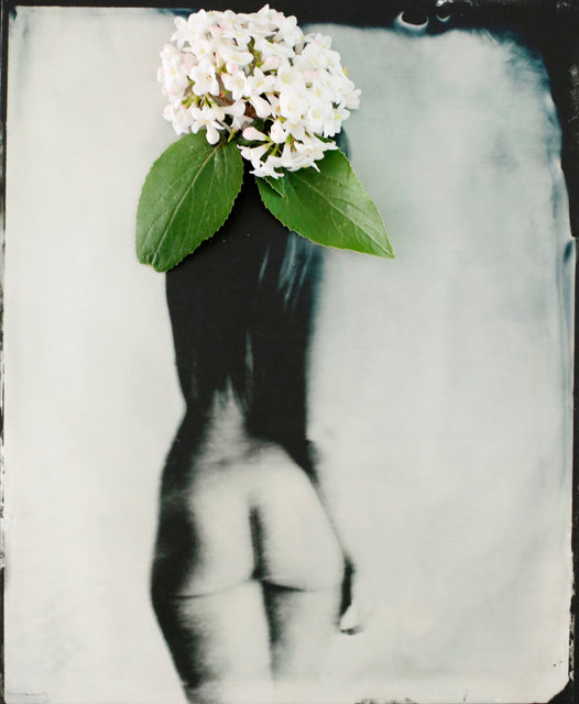 FLOWERS_1_005.JPG