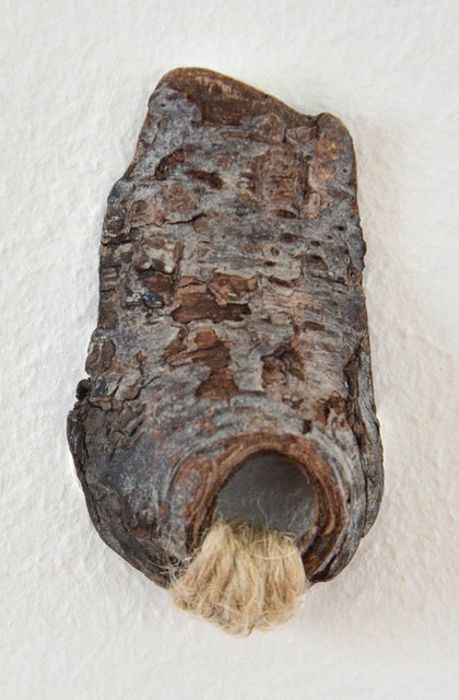 DSC_9563.jpg