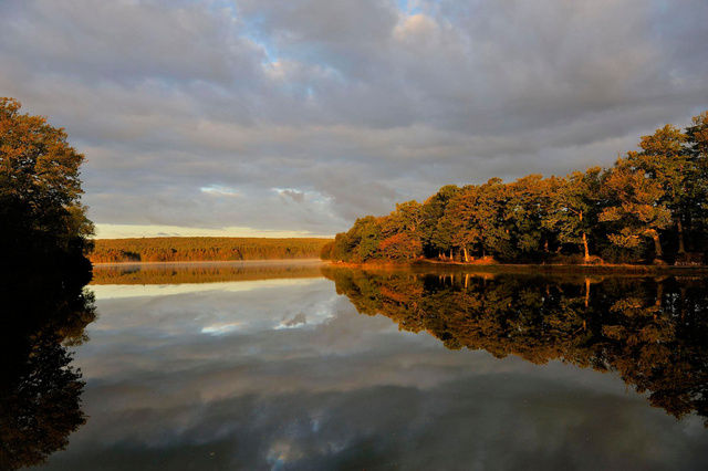 Etang de Paimpont