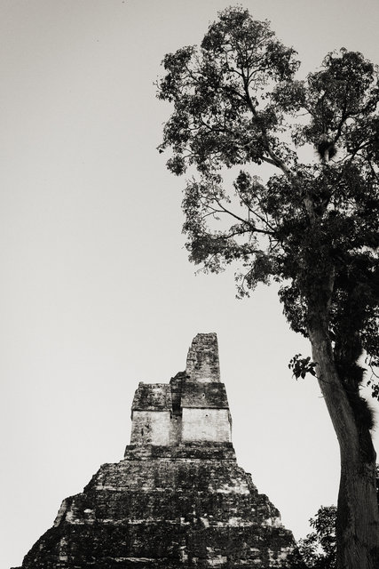 Tikal