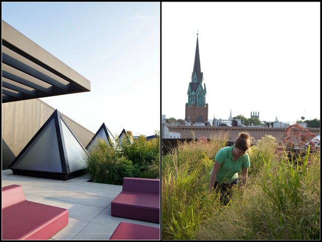 Screen Shot 2012-02-21 at 3.36.26 AM.png