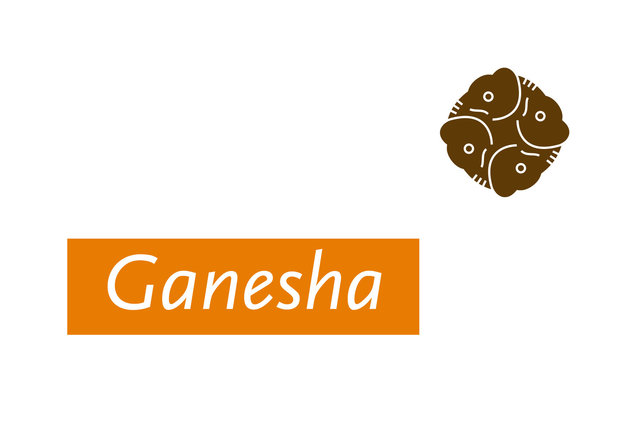 Ganesha adviesbureau