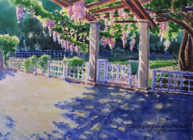 Wisteria Brooklyn Botanic Garden 22 x 30