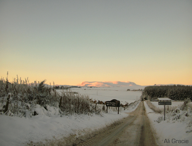 Mountains at Sunset by Alison Gracie