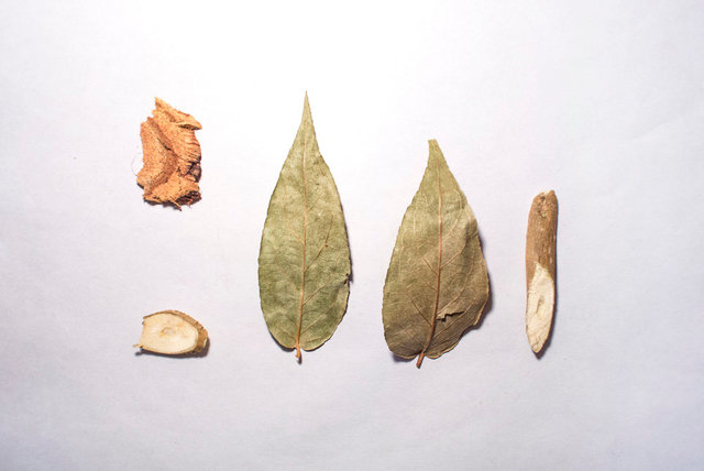 金叶子 (Jin Ye Zi)