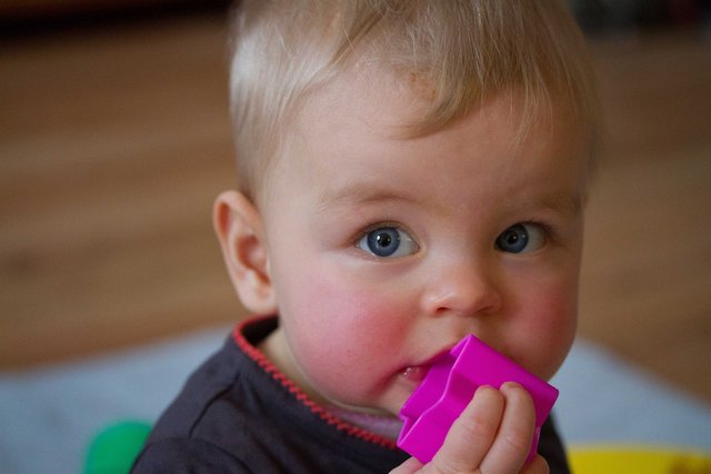 Fenna 22dec12-22.jpg