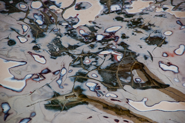 Weathered 16.