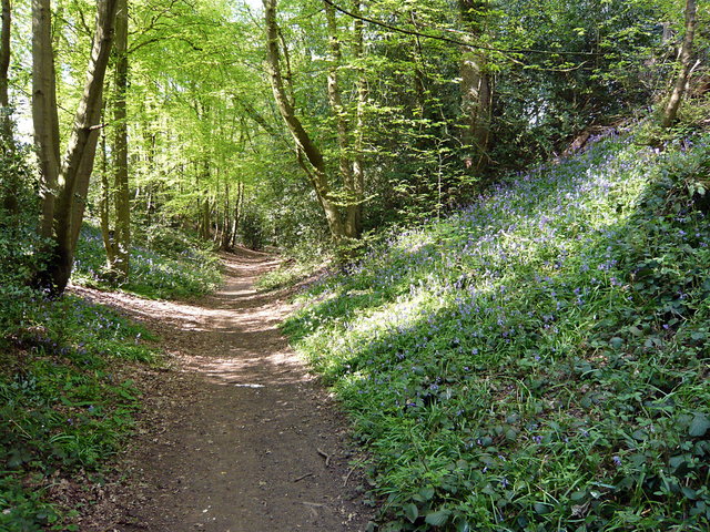 Devil's Dyke VB.JPG