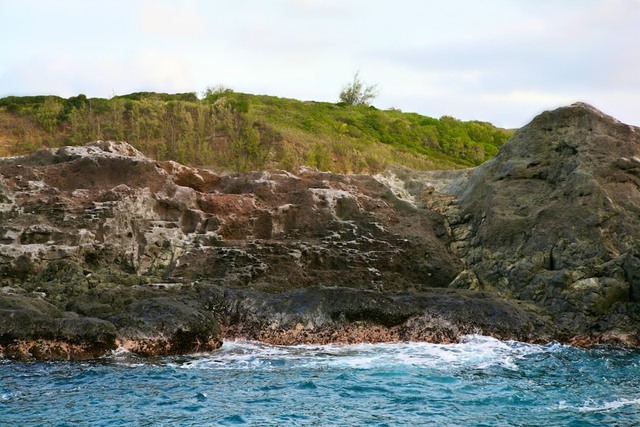 Mar rochoso com vegetação em Lighthouse
