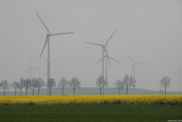 Rape and windpower