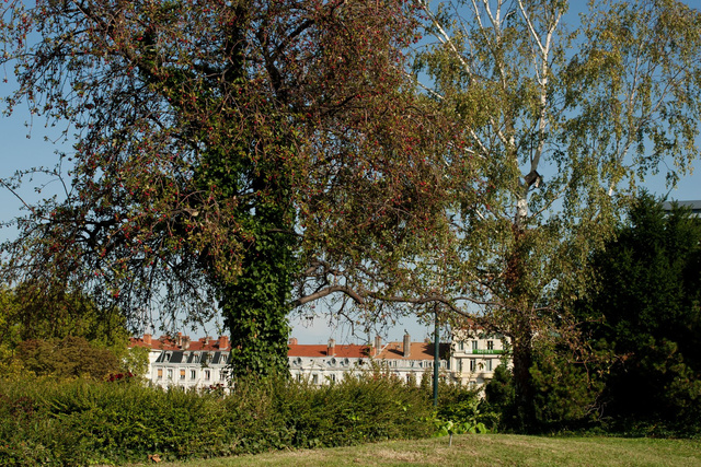 ALM0005-2011CL045.JPG