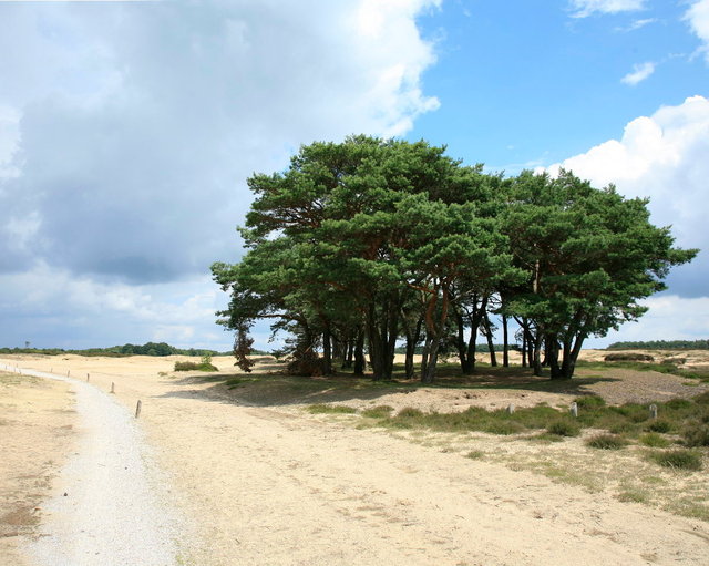 balloerveld