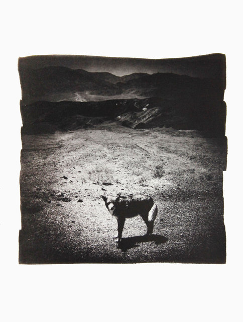 American Diary-046.JPG