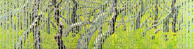 REGROWTH AT GNARABUP