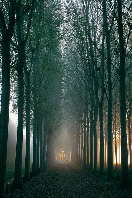 Le chemin en Bourgogne