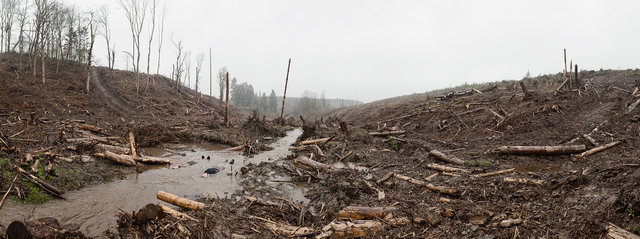 The Third Lie | Series of 6 panoramic images | 2012