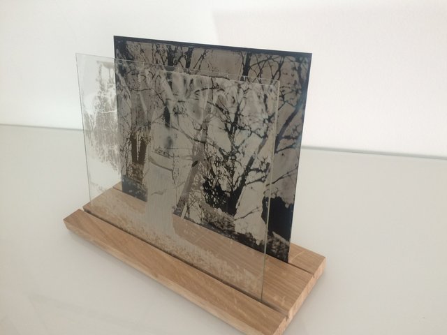 Installation-VERDUN IN MEMORIAM-collodion-001.JPG