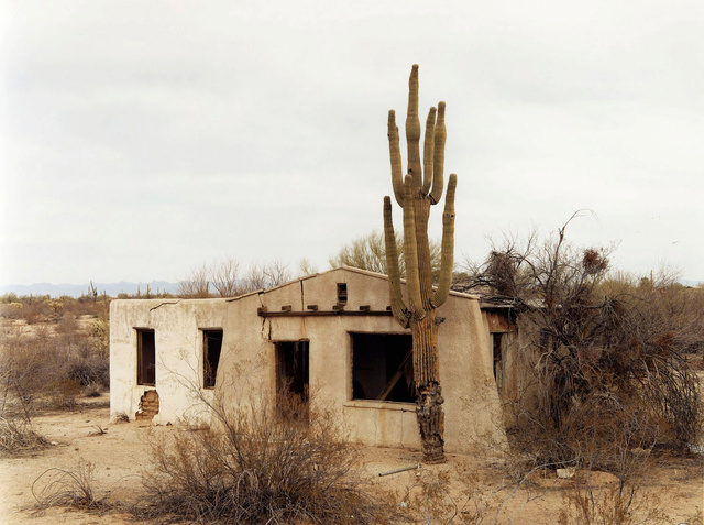 Abandon House:  Arizona  2010