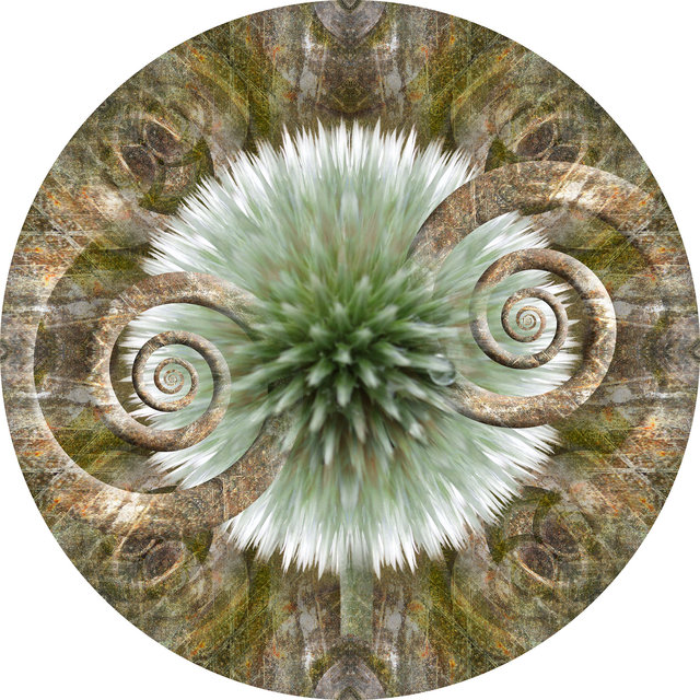 Circle 10 (Echinops)
