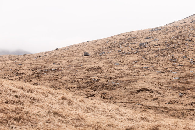 Beyond The Pines | Series of 8 images | 2014