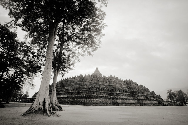 Borobudur II