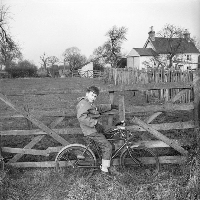 Radbourne Lane