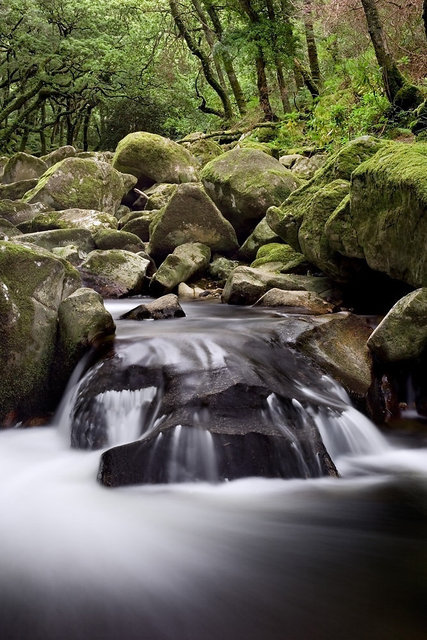 River Plym