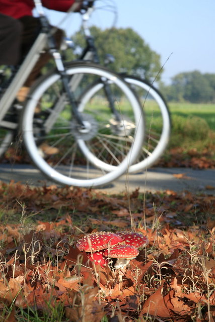 fietsen in de herfst