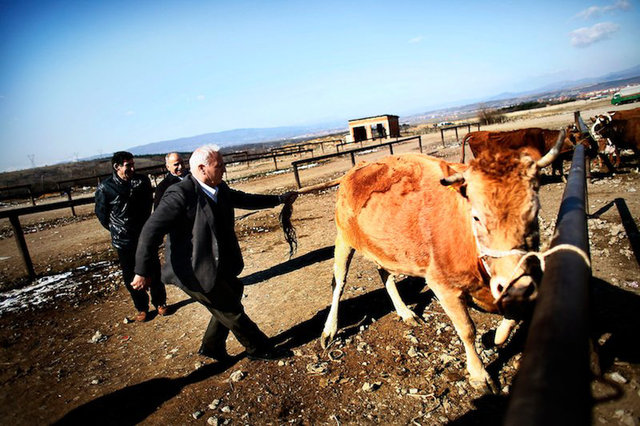 The independence of Kosovo