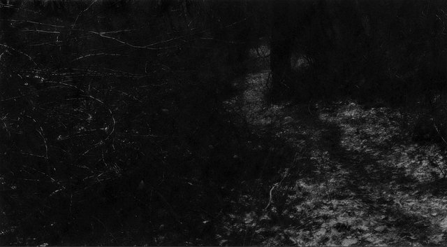 Movement #4