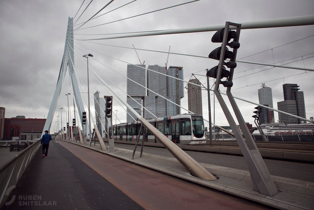 _MG_8868.jpg