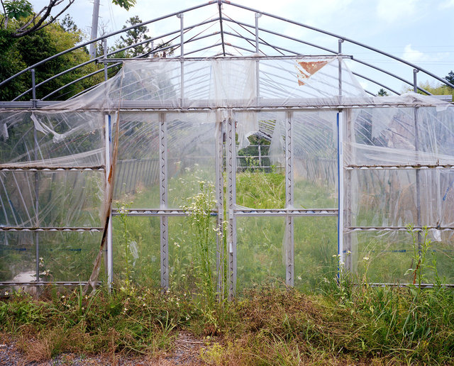 Greenhouse.