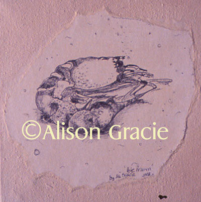 Pete Prawn by Alison Gracie