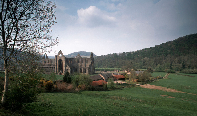 L’abbaye de Tintern,Monmouthshire,2002.