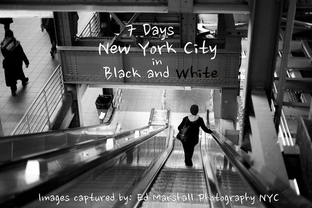 7 Days in New York City in Black and White