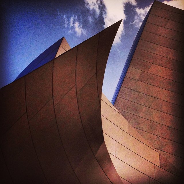 WALT DISNEY CONCERT HALL - BROWN 1