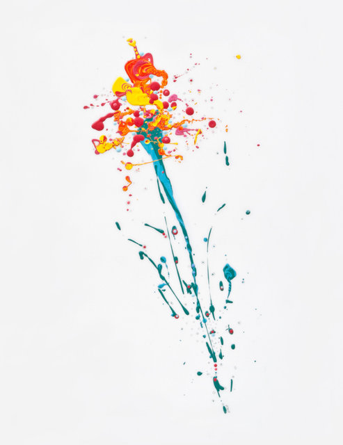 Flora I