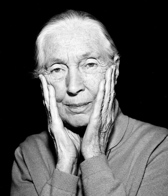 Jane Goodall