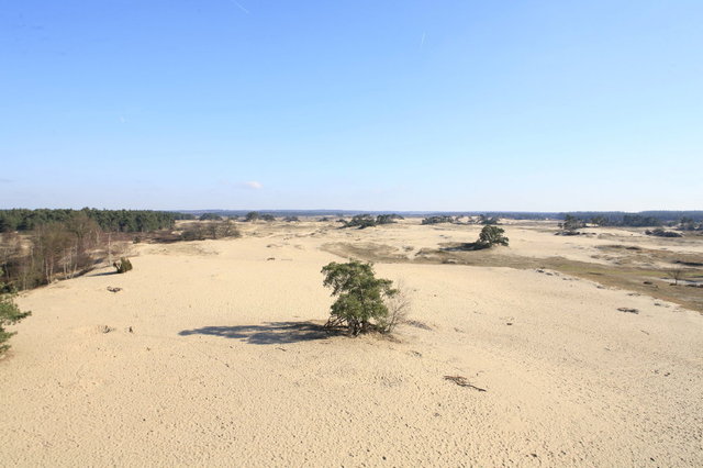 kootwijkerzand