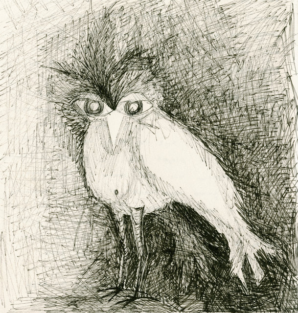 Squinty Owl