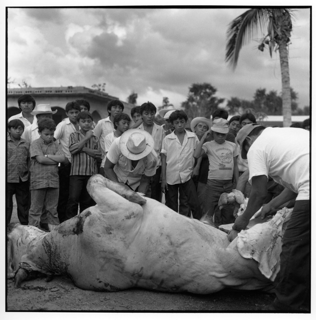 Mex., carving bull173.jpg