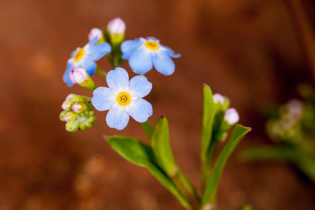 _MG_3503.jpg