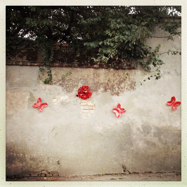 20140913_8434.jpg