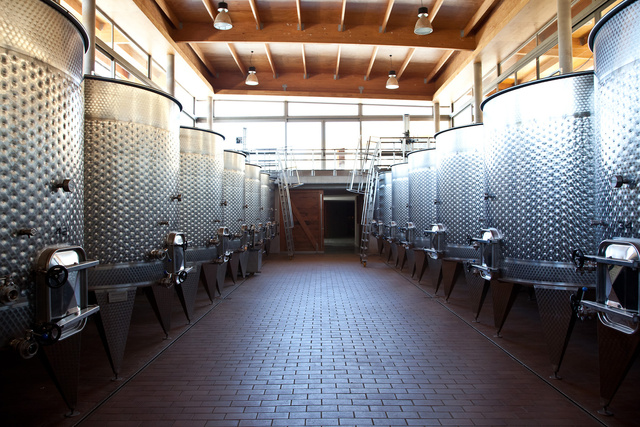 matetic wine tanks