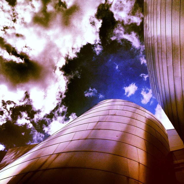 WALT DISNEY CONCERT HALL - ROSE 9