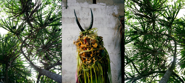 Sierra Devils - Godrich 02