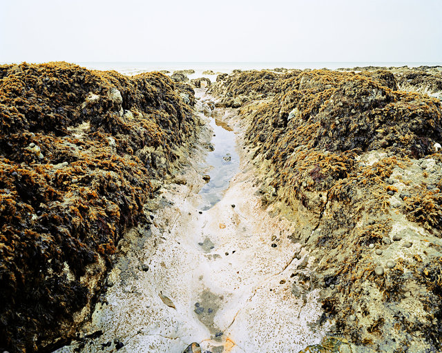 Chalk Wave-Cut Platform, Ovingdean.