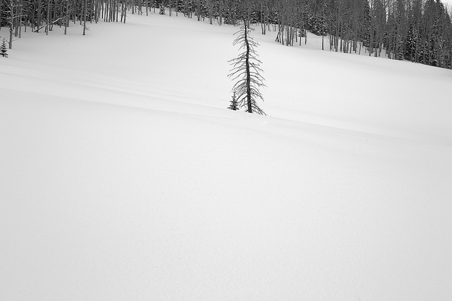 Telluride, Colorado