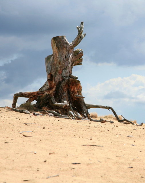 park de hoge veluwe